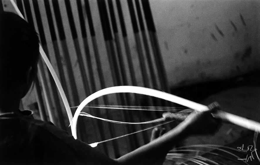 Escortiçando o arumã. Foto: Pedro Martinelli, 2000.