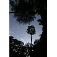 Salete Santos