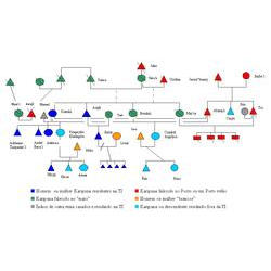 grafico_karipuna_norte