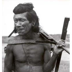 timbira