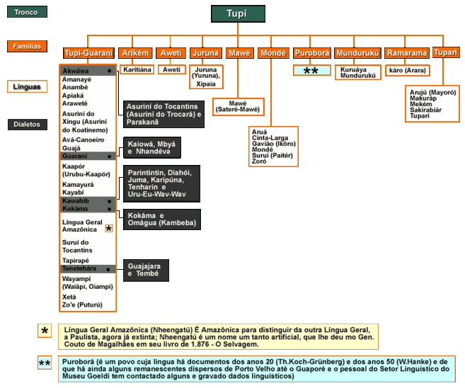 Famílias linguísticas do tronco Tupi.
