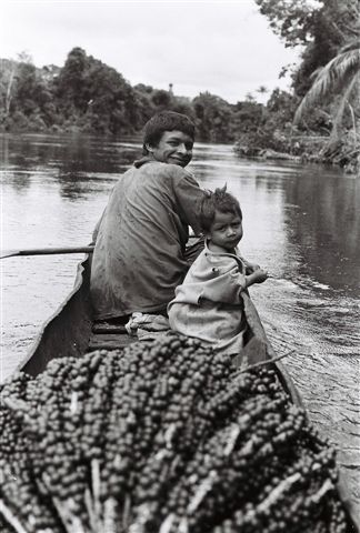 Levando açaí dentro do pödak (canoa de casca de Jatoba ou Violeta), na aldeia Boca do Bia. Foto: Jeremy Deturche, 2006.