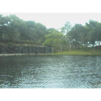 PICT0071