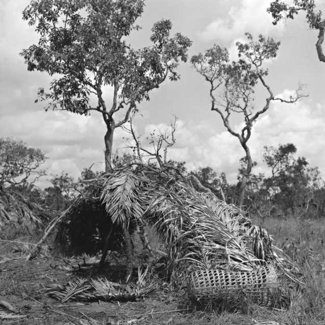 Habitação dos índios Nambikwara Kithaulu, Rio Camararé, Terra Indígena Nambiquara, Mato Grosso. Foto: René Fuerst , 1972