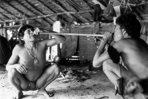 Na maloca Toototobi, dos Yanomami (AM), homens realizam sessão com o pó alucinógeno, yãkuãna. Este é muito presente na iniciação dos pajés yanomami, e deve sempre se dar sob a condução dos mais velhos. Foto: Milton Guran, 1991.