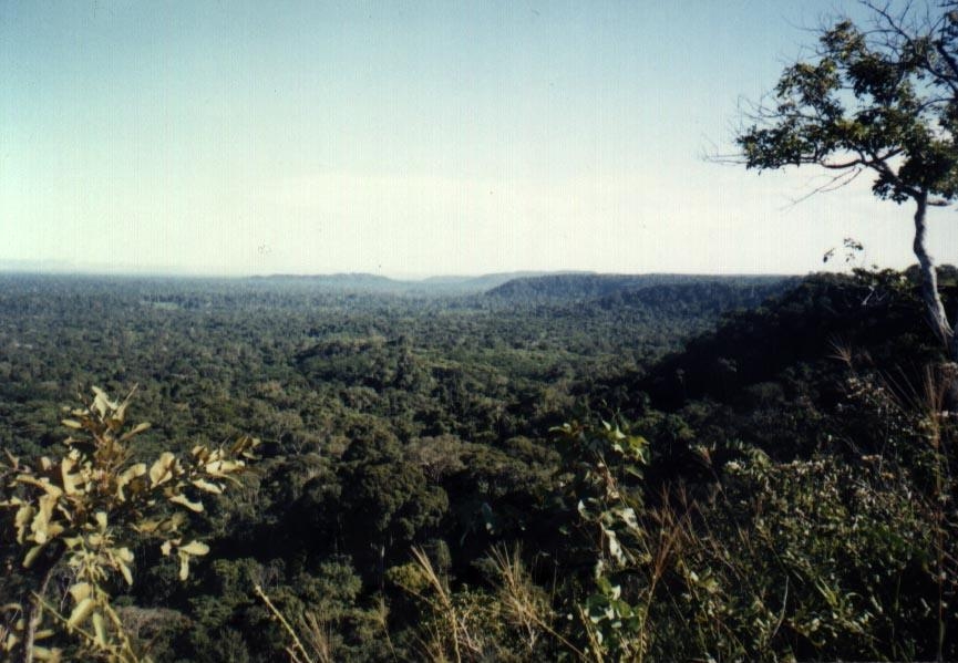 Vista da chapada onde fica localizada a aldeia atual dos Mamiandê. Foto: Joana Miller