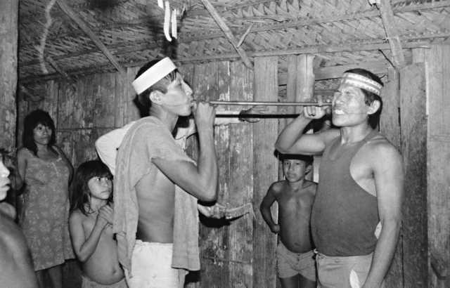 Índios matsés praticando a respiração de rape, aldeia 31, Amazonas. Foto: Isaac Amorim Filho, 1985