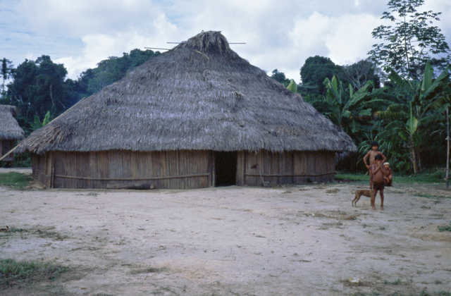 Casa familiar dos matsés, igarapé Lobo, Terra Indígena Vale do Javari, Amazonas.