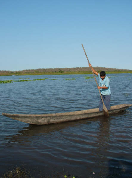 Young Guató man, crossing the Uberaba bay in a canoe. Photo: Suki Ozaki, 2006
