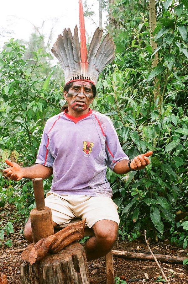 Osmildo Kuntanawa, cacique do grupo, macerando o cipó (Banisteriopis caapi) para o preparo da ayahuasca. Foto: Mariana Pantoja, aldeia Sete Estrelas, 2007