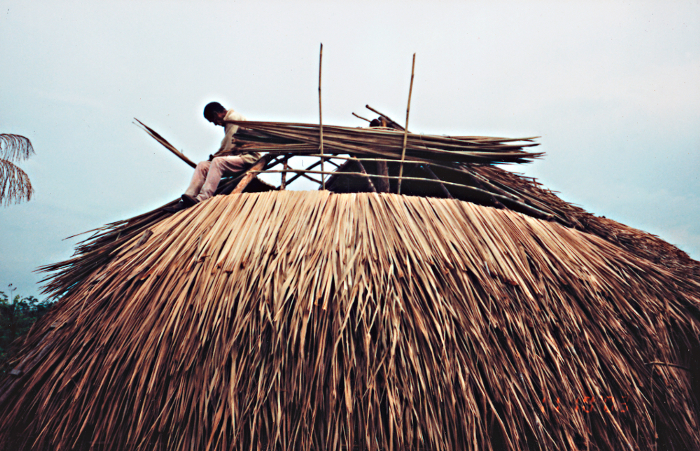 Construção de uma casa tradicional dos Umutina, comunidade Balotiponé, Terra Indígena Umutina, Barra do Bugres, Mato Grosso. Foto: Comunidade Indígena Balotiponé, 2003