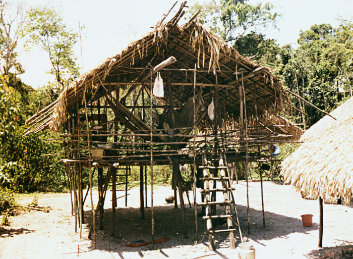  Museu do Índio/APINA/CTI/NHII-USP, 2002.