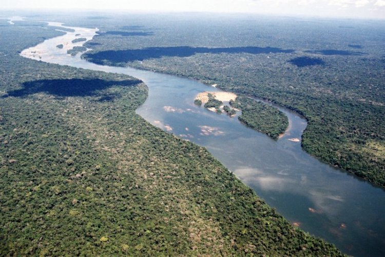 Vista aérea do rio Xingu, Terra do Meio, Pará. Foto: Pedro Martinelli/ISA, 2002. 