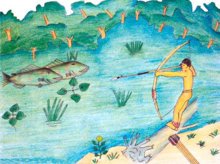 Source: Ecologia, Economia e Cultura (book 1). Instituto Socioambiental (ISA), Associação Terra Indígena do Xingu (ATIX), 2005.
