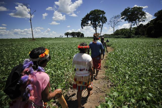 Índios Guarani-Kaiowá no caminho da roça. Foto: Marcello Casal Jr/ABr.