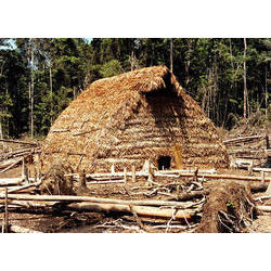 Maloca tradicional dos Matis. Igarapé Boeiro, rio Ituí. Terra Indígena Vale do Javari, Amazonas. Foto: Isaac Amorim Filho, 1985 matis_5