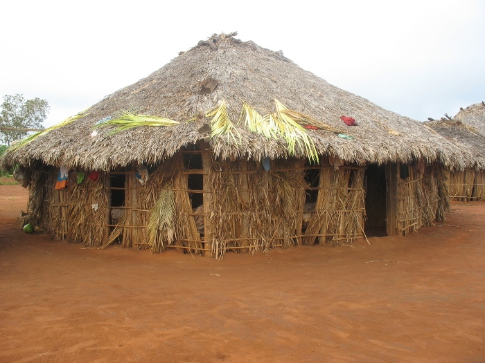 Casa xavante na aldeia Etenhiritipa. Foto: Célia Barros, 2009.