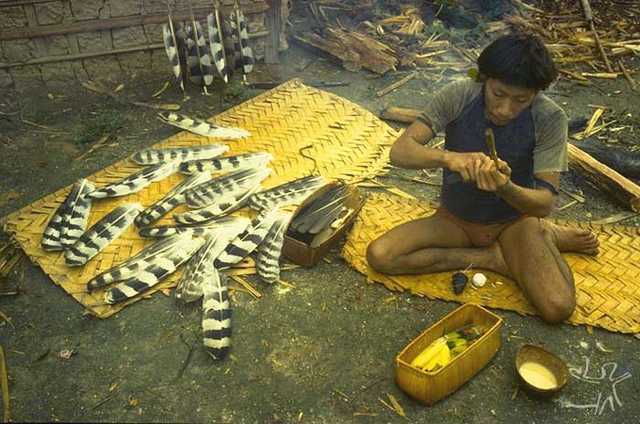 O Araweté Mo´inowï-do fazendo flechas. Foto: Eduardo Viveiros de Castro, 1982. 
