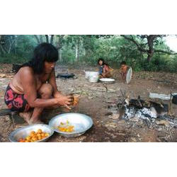 Mulheres kalapalo preparam massa de pequi. Foto: Beto Ricardo, 2002. kalapalo_pequi