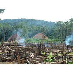 roca_yanomami