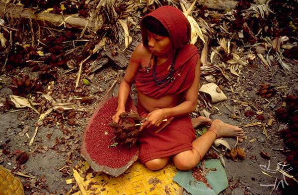 Mulher Araweté separando sementes de urucum. Foto: Eduardo Viveiros de Castro/ISA.