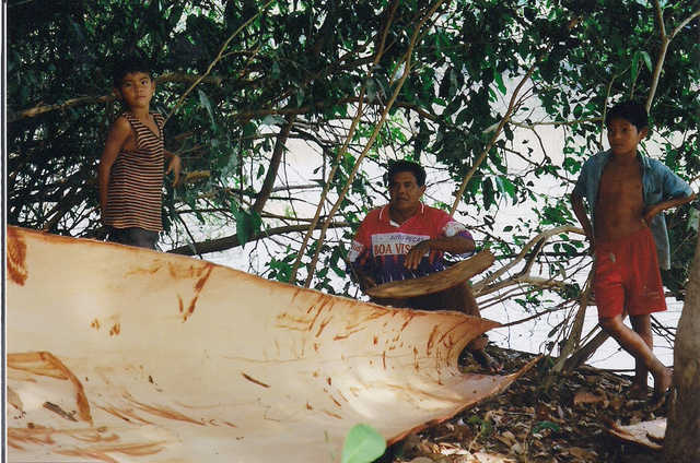 Apiaká fabricando canoa de casca de pau às margens do Rio dos Peixes. Imediações da aldeia Mayrob, Terra Indígena Apiaká-Kaiabi, Juara, Mato Grosso. Foto: Giovana Acacia Tempesta, 2007