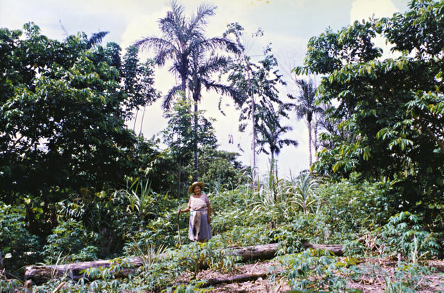 Davina Kaixana, Terra Indígena São Sebastião, Tonantins, Amazonas. Foto: Kênia Gonçalves Itacaramby, 1997