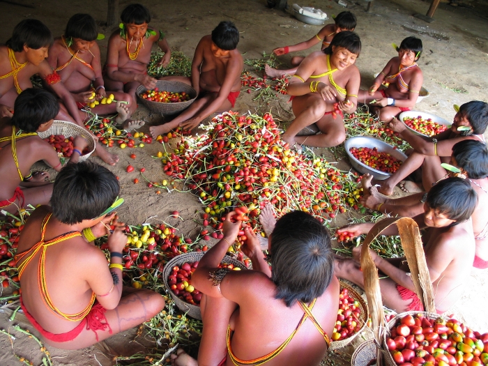 Gibt es Yanomami noch?