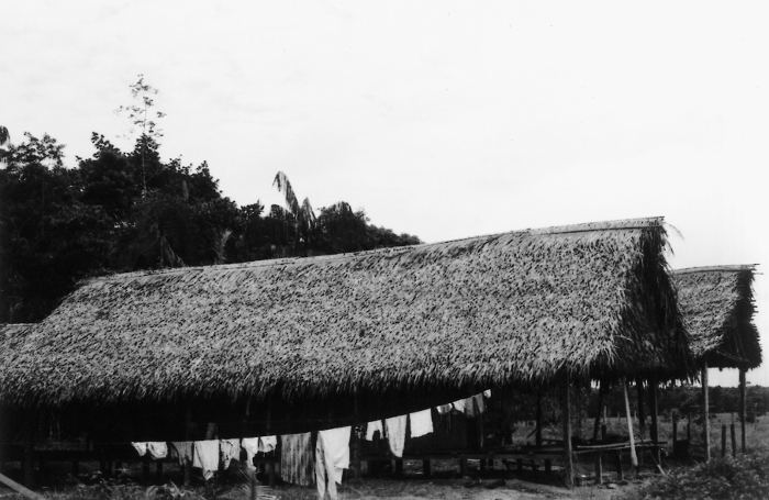 Casas na aldeia Morada Nova do povo Shanenawa, Terra Indígena Katukina/Kaxinawá, Feijó, Acre. Foto: Mônica Barroso, 2003