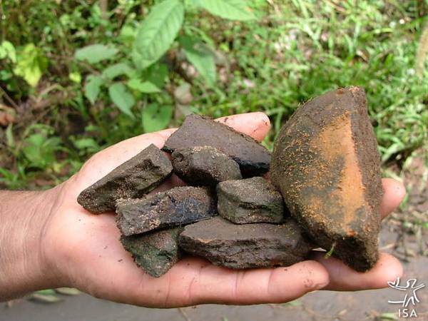 Fragmentos de objetos cerâmica em sítio arqueológico, Terra Indígena Pequizal do Naruvotu, Mato Grosso. Foto: Emerson Guerra, 2005