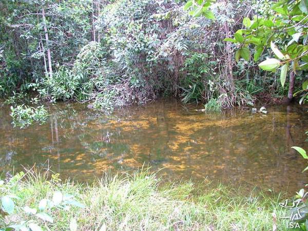 Lagoa próxima à antiga aldeia do Pequizal, Terra Indígena Pequizal do Naruvotu, Mato Grosso. Foto: Emerson Guerra, 2005