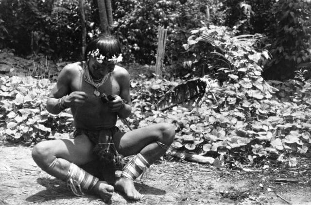 Hixkaryana fazendo uma flecha, rio Mapuera, Terra Indígena Nhamundá-Mapuera. Foto: Protásio Frikel, 1951