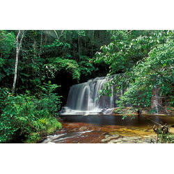 Parque Nacional da Serra do Divisor (AC) - Cachoeira Formosa  / Araquém Alcântara - www.terrabrasilimagens.com.br