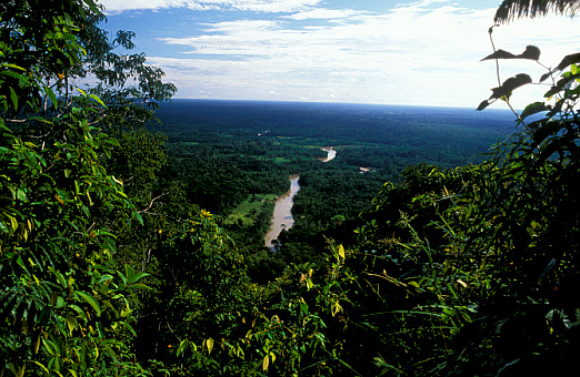 Vista do Rio Juruá Mirim