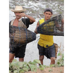RESEX Marinha de Tracuateua - Pescadores usando o soco 2009  / ® Willian Fernandes/ ICMBio PA