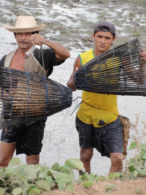 Pesca(usando soco) Campos