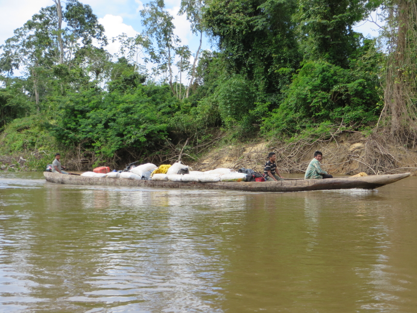 Transporte da castanha do Brasil no rio Anauá. Foto: Selma Gomes/ISA, 2014.