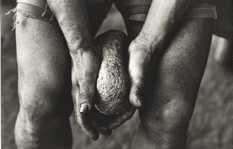 Modelando o pão de guaraná, rio Marau. Foto: Sônia Lorenz, 1980.