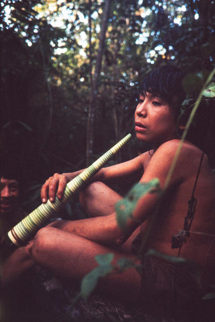 Jovem araweté tocando terewo, uma corneta espiralada feita de brotos de babaçu, na TI Araweté/Igarapé Ipixuna (PA). Foto: Eduardo Viveiros de Castro, 1991