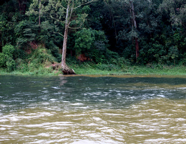 agua do pinheiros e billings_kiko ferrite.jpg
