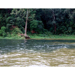 agua do pinheiros e billings_kiko ferrite.jpg