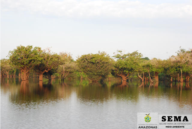 Rio Matupiri (3)_ok