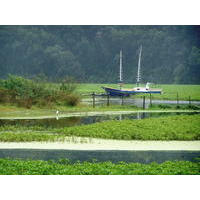 BARCO VERDE