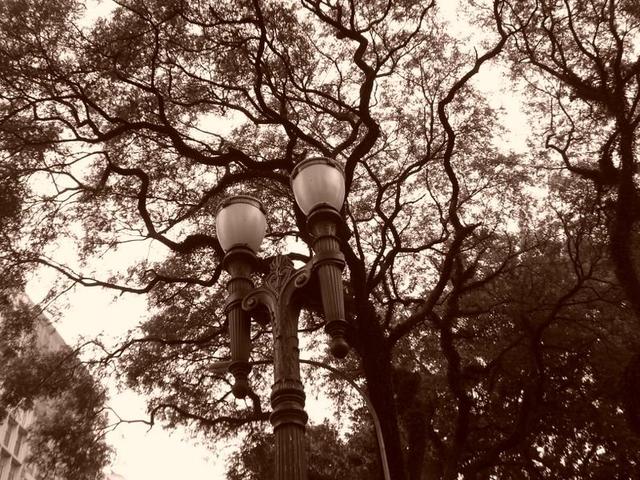 Em busca de uma luz superior