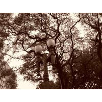 Em busca de uma luz superior