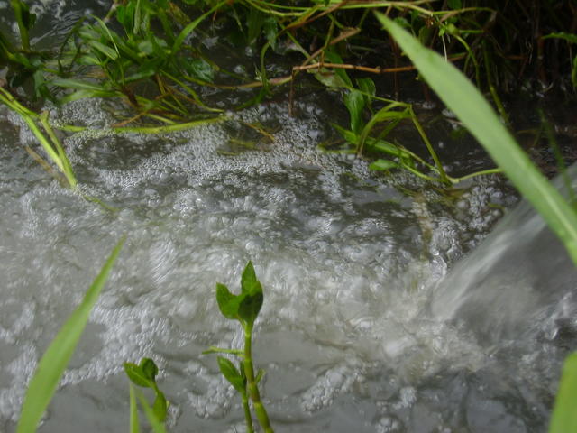 P6290035