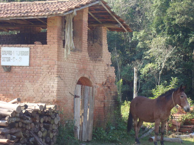 Olaria Esquecida no Tempo
