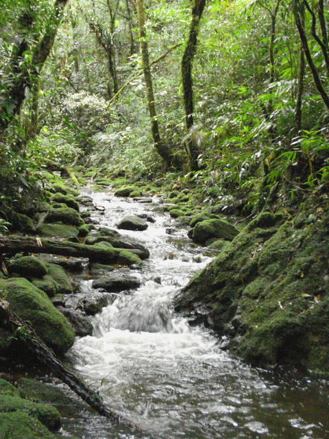 DSC01105v