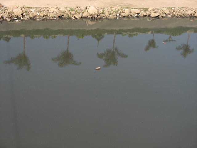 Tietê 099