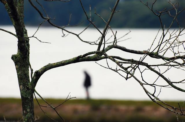 Natureza, o que fiz com você
